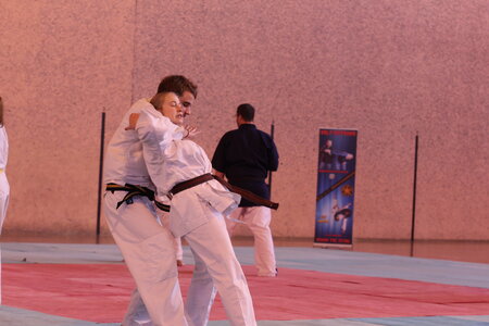 Nihon Tai Jitsu Stage Aire Février 2016, NTJ_Stage_Aire_Fevrier-RL  139 