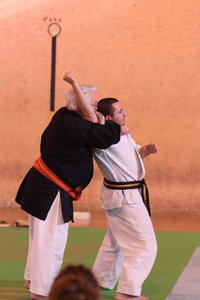 Nihon Tai Jitsu Stage Aire Février 2016, NTJ_Stage_Aire_Fevrier-RL  147 