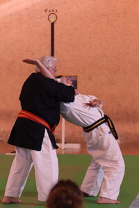 Nihon Tai Jitsu Stage Aire Février 2016, NTJ_Stage_Aire_Fevrier-RL  148 