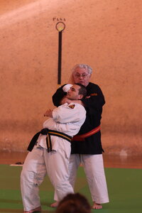 Nihon Tai Jitsu Stage Aire Février 2016, NTJ_Stage_Aire_Fevrier-RL  150 