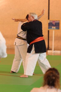 Nihon Tai Jitsu Stage Aire Février 2016, NTJ_Stage_Aire_Fevrier-RL  153 