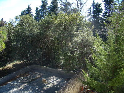 Mas Les Molières, a 070