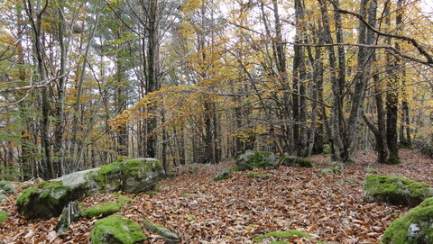 Test, DSC04510