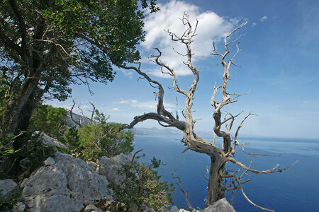 2015-10-02.10-selvaggio-blu, alpes-aventure-trek-selvaggio-blu-porto-pedrosu-cala-goloritze-alpha700-043