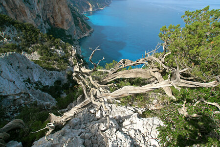 2015-10-02.10-selvaggio-blu, alpes-aventure-trek-selvaggio-blu-porto-pedrosu-cala-goloritze-alpha700-051