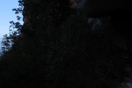 2015-10-02.10-selvaggio-blu, alpes-aventure-trek-selvaggio-blu-porto-pedrosu-cala-goloritze-G1X-067