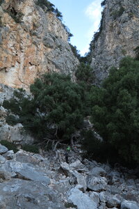 2015-10-02.10-selvaggio-blu, alpes-aventure-trek-selvaggio-blu-cala-goloritze-ololbizzi-G1X-037