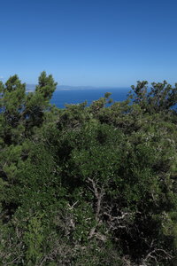 2015-10-02.10-selvaggio-blu, alpes-aventure-trek-selvaggio-blu-cala-goloritze-ololbizzi-G1X-093