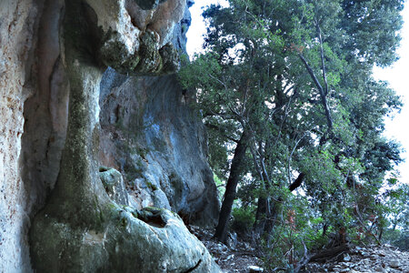 2015-10-02.10-selvaggio-blu, alpes-aventure-trek-selvaggio-blu-cala-goloritze-ololbizzi-G1X-139