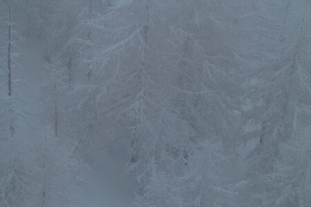 2016-03-16.20-ski-voie-lactee, alpes-aventure-ski-freeride-sestriere-voie-lactee-2016-03-17-004