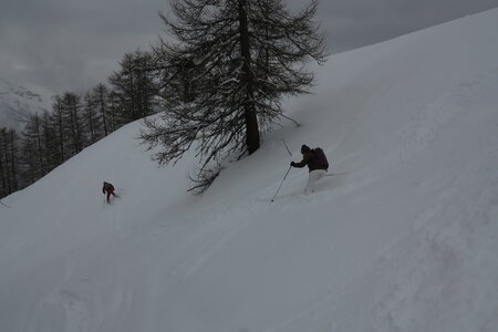 2016-03-16.20-ski-voie-lactee, alpes-aventure-ski-freeride-sestriere-voie-lactee-2016-03-17-034