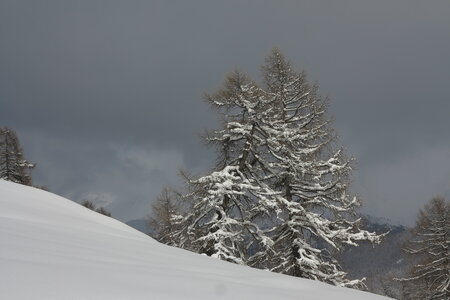 2016-03-16.20-ski-voie-lactee, alpes-aventure-ski-freeride-sestriere-voie-lactee-2016-03-17-091