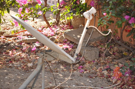 villa N°8 Le Recif, DSC_0225