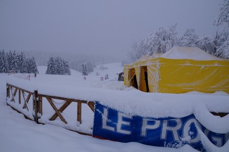 La Pesse 2016 course de chiens de taineau, DSC09217  Copier 