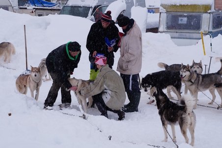 La Pesse 2016 course de chiens de taineau, DSC09245  Copier 