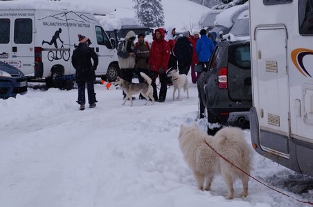 La Pesse 2016 course de chiens de taineau, DSC09282  Copier 