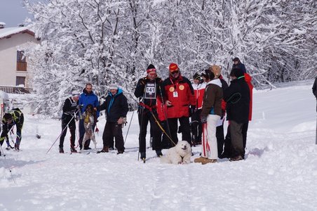 La Pesse 2016 course de chiens de taineau, DSC09306  Copier 