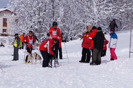 La Pesse 2016 course de chiens de taineau, DSC09310  Copier 