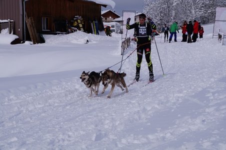 La Pesse 2016 course de chiens de taineau, DSC09315  Copier 