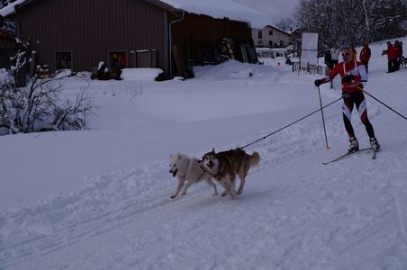 La Pesse 2016 course de chiens de taineau, DSC09364  Copier 