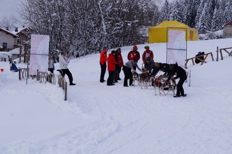 La Pesse 2016 course de chiens de taineau, DSC09365  Copier 