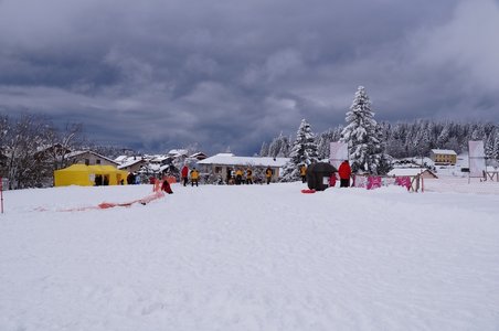 La Pesse 2016 course de chiens de taineau, DSC09377  Copier 