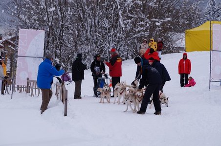 La Pesse 2016 course de chiens de taineau, DSC09385  Copier 