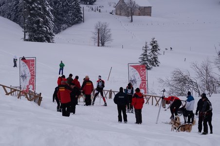 La Pesse 2016 course de chiens de taineau, DSC09390  Copier 