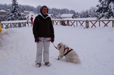La Pesse 2016 course de chiens de taineau, DSC09391  Copier 