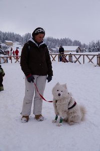 La Pesse 2016 course de chiens de taineau, DSC09392  Copier 