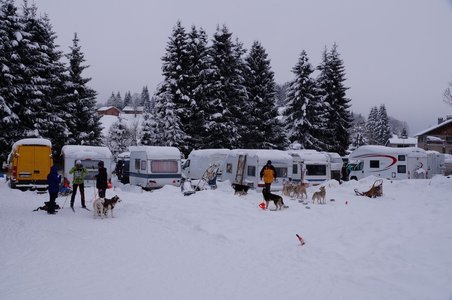 La Pesse 2016 course de chiens de taineau, DSC09394  Copier 