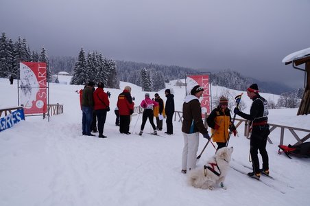 La Pesse 2016 course de chiens de taineau, DSC09395  Copier 