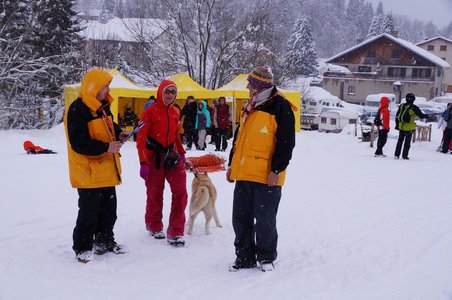 La Pesse 2016 course de chiens de taineau, DSC09463  Copier 