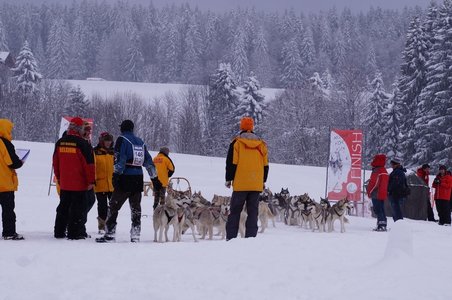 La Pesse 2016 course de chiens de taineau, DSC09472  Copier 