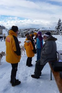 La Pesse 2016 course de chiens de taineau, P1120782  Copier 