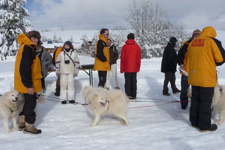 La Pesse 2016 course de chiens de taineau, P1120804  Copier 