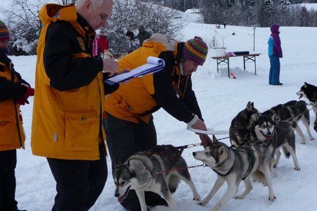 La Pesse 2016 course de chiens de taineau, P1120828  Copier 