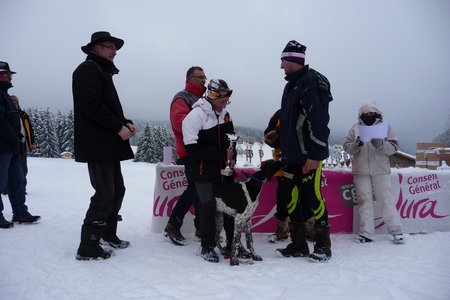 La Pesse 2016 course de chiens de taineau, P1120890  Copier 