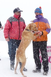 La Pesse 2016 course de chiens de taineau, P1120920  Copier 