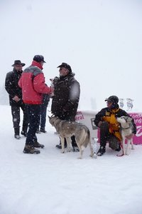 La Pesse 2016 course de chiens de taineau, P1120928  Copier 