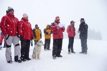 La Pesse 2016 course de chiens de taineau, P1120935  Copier 