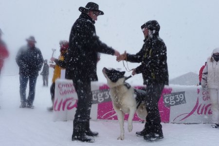 La Pesse 2016 course de chiens de taineau, P1120941  Copier 