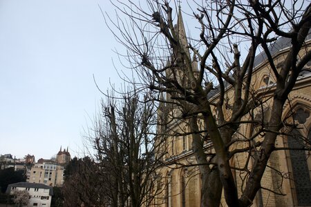 Sainte-Adresse, IMG_3230