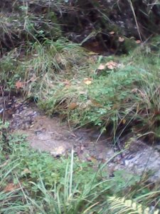 Balade en Creuse, Un ruisselet bien caché