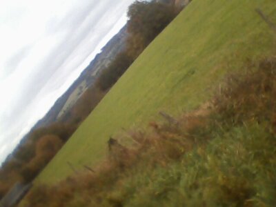 Balade en Creuse, IMG0102A