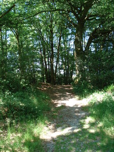 Balade en Creuse, Un sous bois