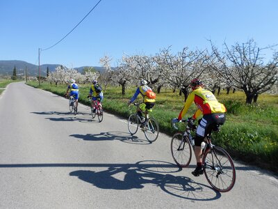 2016-04-07  Cerisiers en fleurs dans le LUBERON, DSCN3489