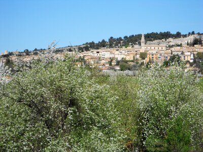 2016-04-07  Cerisiers en fleurs dans le LUBERON, DSCN3498