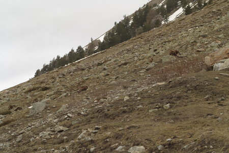 2016-04-ski-traverse-alpes, alpes-aventure-ski-traversee-alpes-cougourde-pas-ladres-madone-fenestre-2016-04-04-038