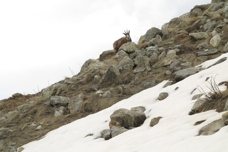 2016-04-ski-traverse-alpes, alpes-aventure-ski-traversee-alpes-cougourde-pas-ladres-madone-fenestre-2016-04-04-056